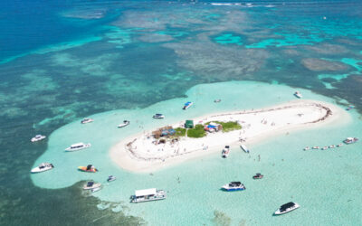 Ilet Caret : Joyau Protégé du Grand Cul-de-Sac Marin